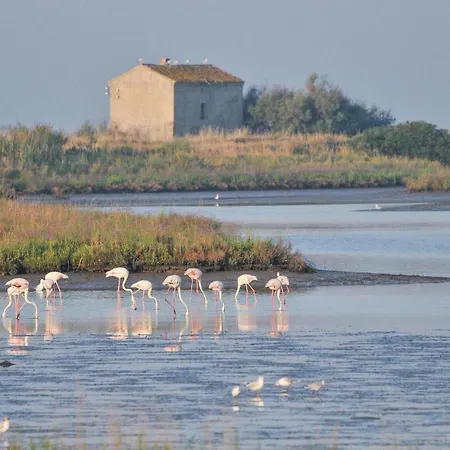 Pino Porto Garibaldi